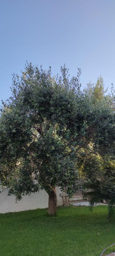 לינה וארוחת בוקר אוטרנטו La Bella Dimora מראה חיצוני תמונה
